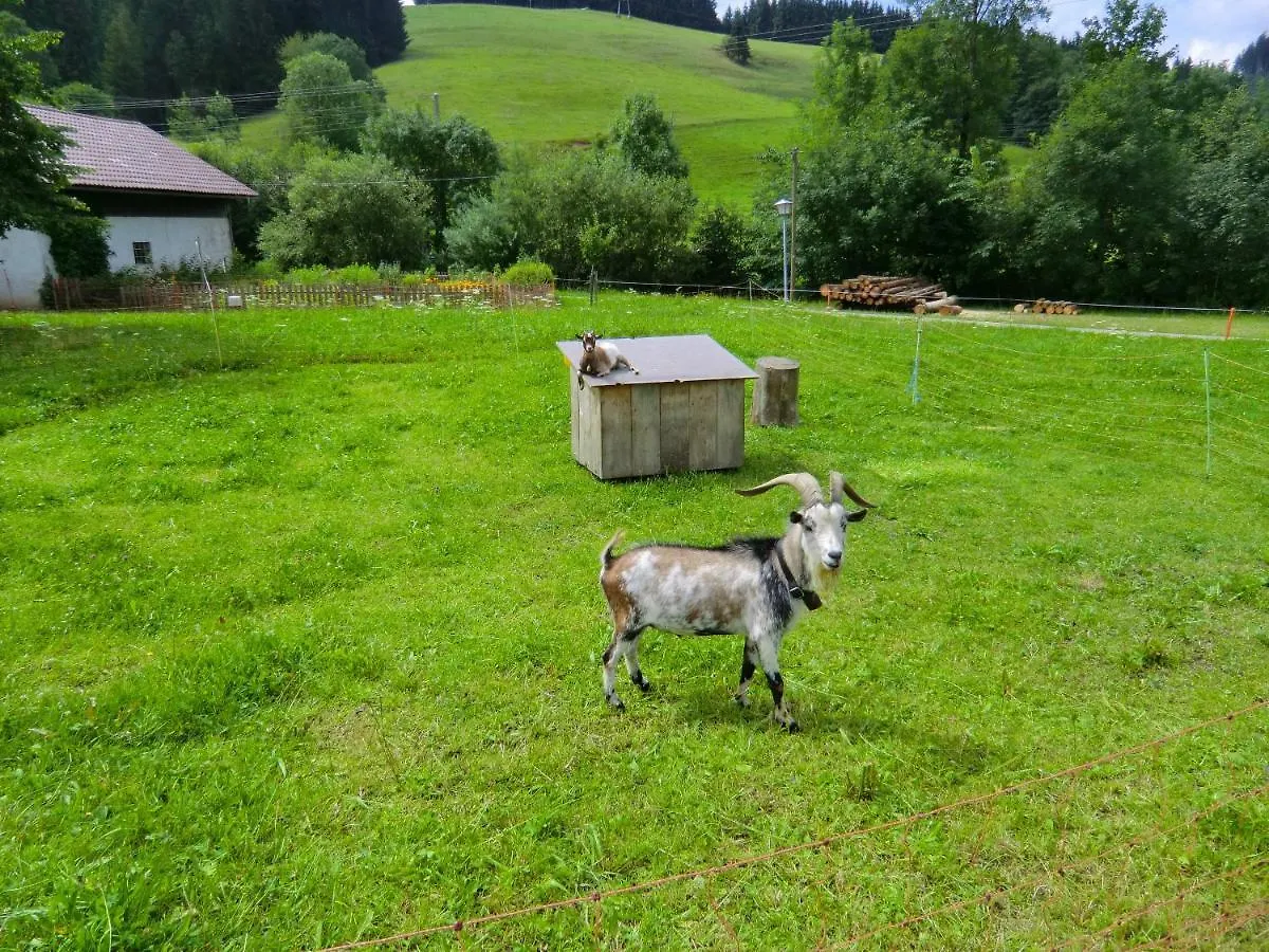Apartment Ferienwohnung Gruentenpanorama Im Jaegerwinkl Allgaeu Rettenberg